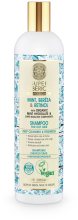 Shampoo professionale per capelli grassi 400 ml