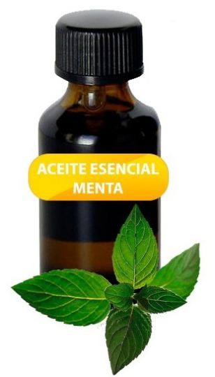 Olio Essenziale di Menta