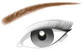 Matita per Sopracciglia Brow Artist Designer 303 Deep Brown