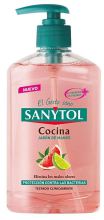 Dosatore di sapone antibatterico da cucina 250 ml