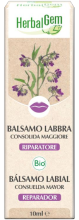 Balsamo labbra Comfrey Major Bio 10 ml