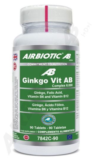 Ginkgo Vitamin 6000 90 capsule