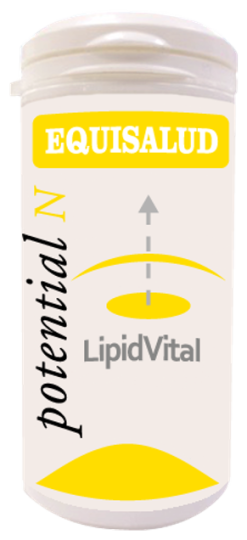 Lipidvital 60 Capsule