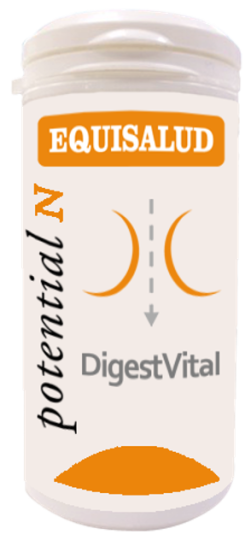 Digessvital 60 Capsule