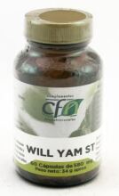 Wild Yam St 60 Capsule 580 mg