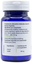 Equiseto 100 compresse 500mg