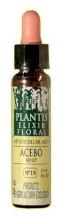 Plantis 15 Agrifoglio 10 ml