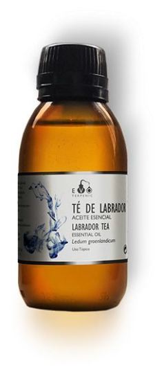 Tè Labrador Bio 30 ml