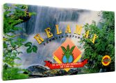 Relamax 20 Fiale 10 Ml