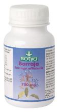 Borragine 110 perle