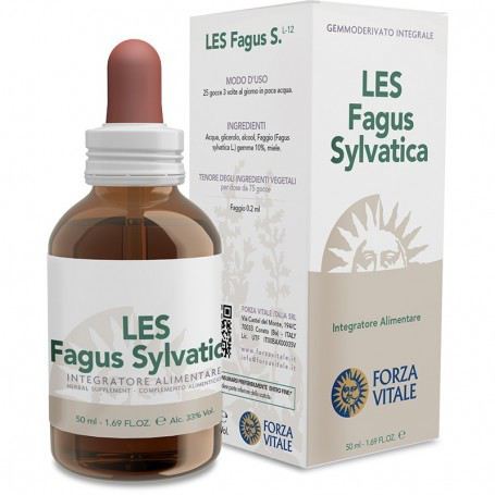 Fagus sylvatica Faggio Les 50ml.