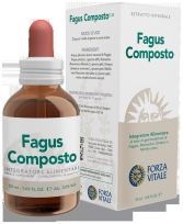 Compost estratto Fagus 50ml.