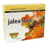 Jelly Forte 16 fiale x 10 ml