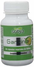 Garcinia 500 mg 90 Capsule