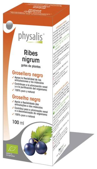 Ribes Nigrum 100 ml Estratto Bio