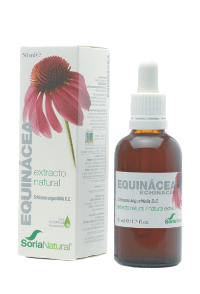 Estratto di echinacea glicerina 50 ml