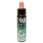 Plantis Nº 6 Autostima 10 ml