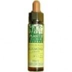 Olive Plantis n ° 23 10 ml