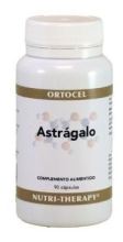 Astragalus 400 mg 90 capsule