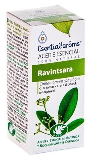 Ravensara essenza 5 ml