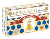 Reina Reali Difese 20 Blister