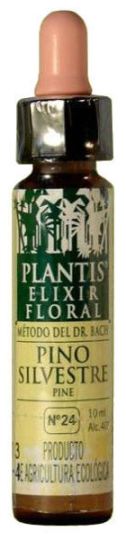 No. 24 Pine Plantis 10ml.