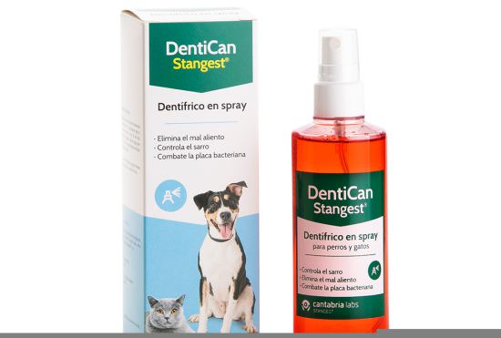 Dentican Spray Dentale 125 ml