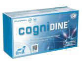 Cognidine 60 compresse