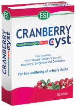 Cranberry cisti (Nocyst) 30comp.