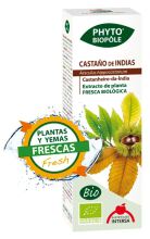 Ippocastano castagno 50 ml