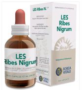 Ribes nero Ribes Nigrum Les 50ml.