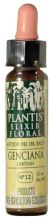 Genziana Plantis n ° 12 10 ml