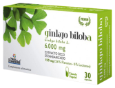 Ginkgo Biloba 60 Capsule